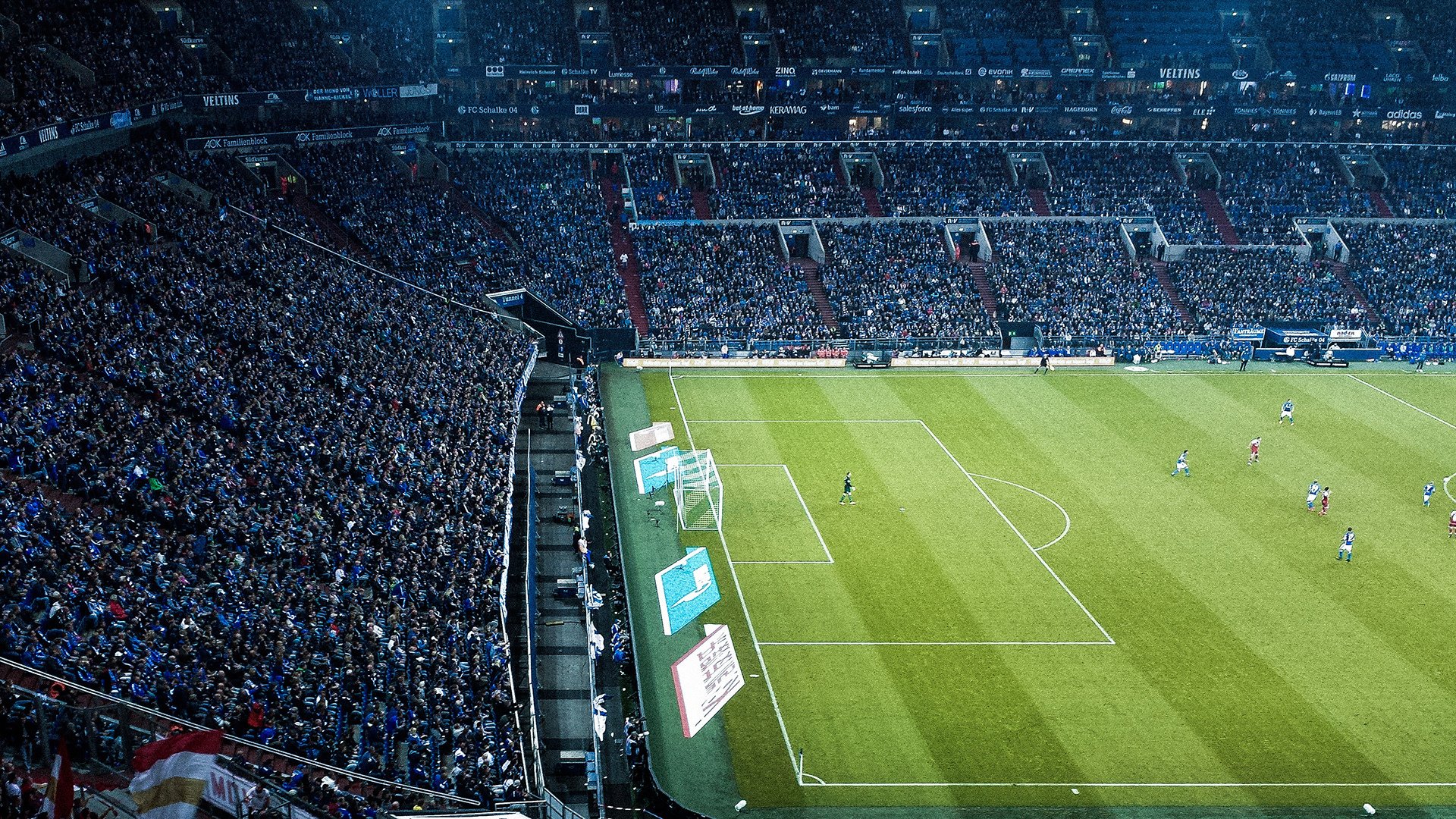 开云体育官网-从流星到星辰，林高远一夜之间，韩国队横扫瑞典队的关键蜕变